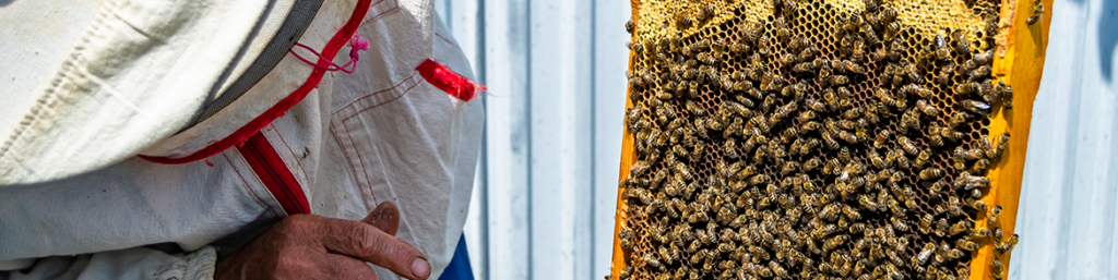 BECOME A BEEKEEPER