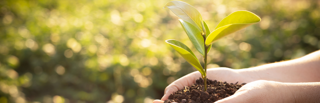 COMPOSTABLE PRODUCTS