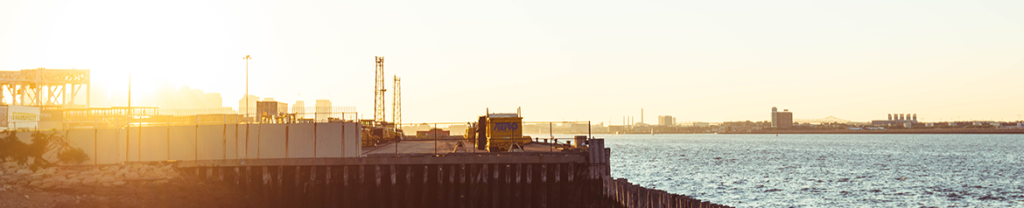 LIVING SHORELINE CLEAN UP